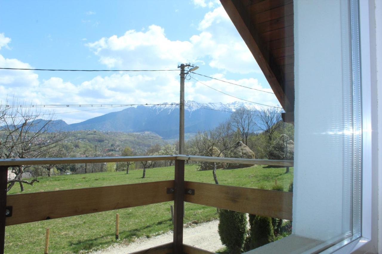 Casa Veverita Predelut Exterior foto